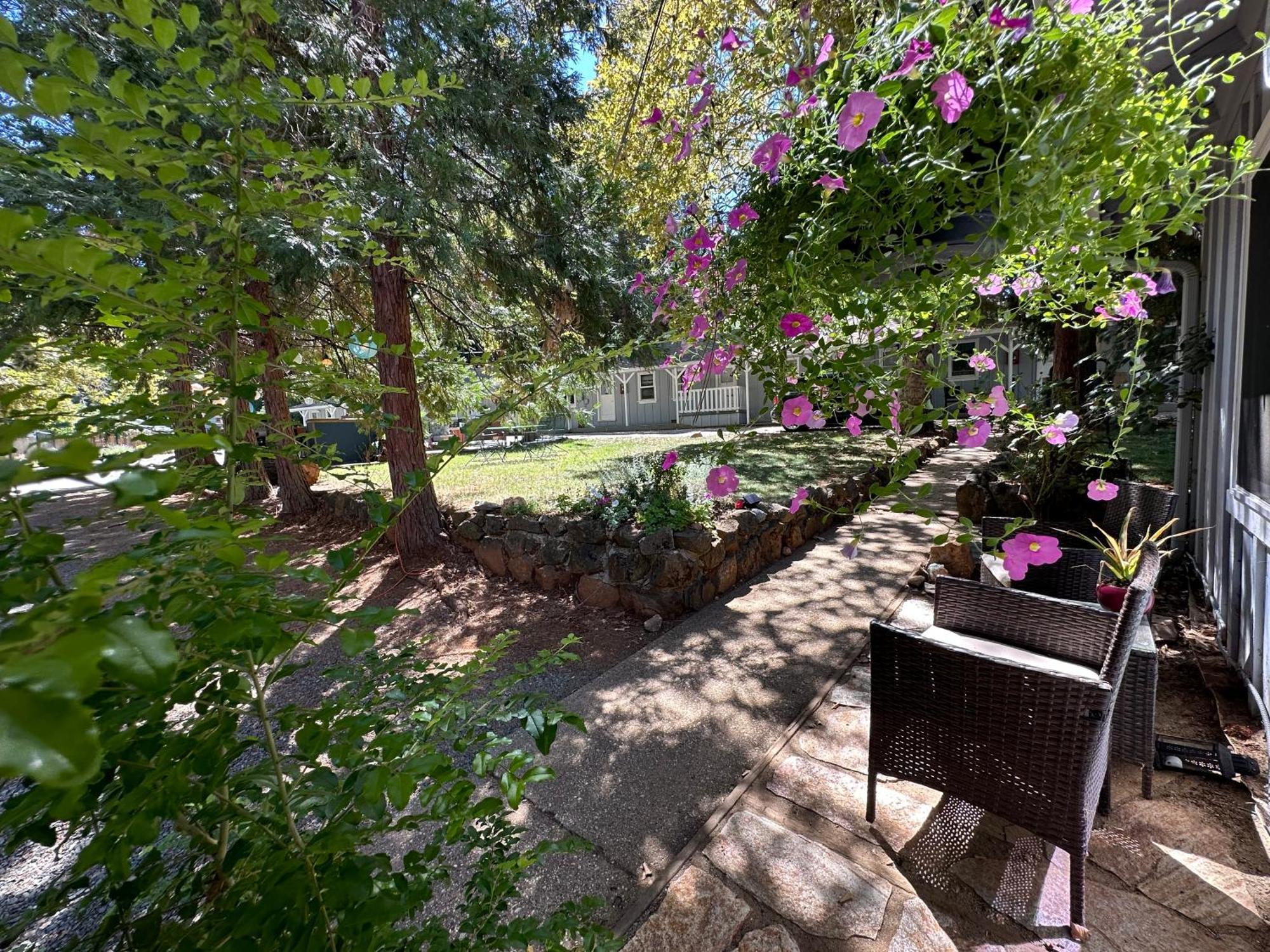 The Pines Inn And Cottages Grass Valley Εξωτερικό φωτογραφία