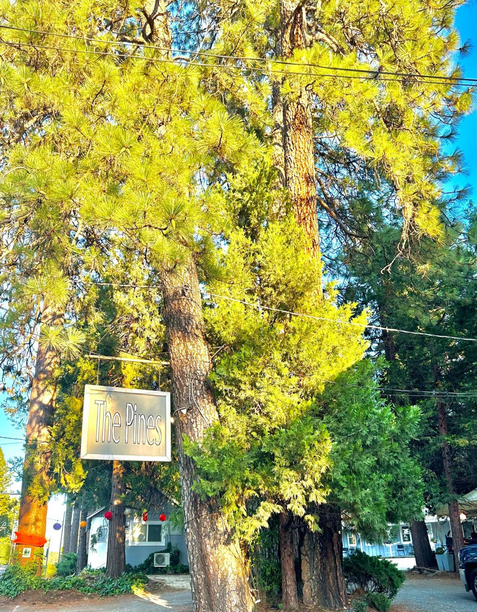 The Pines Inn And Cottages Grass Valley Εξωτερικό φωτογραφία