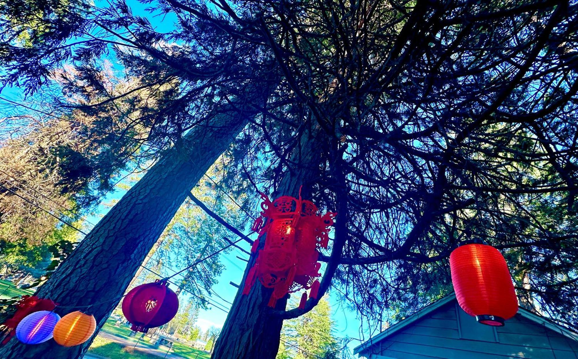 The Pines Inn And Cottages Grass Valley Εξωτερικό φωτογραφία