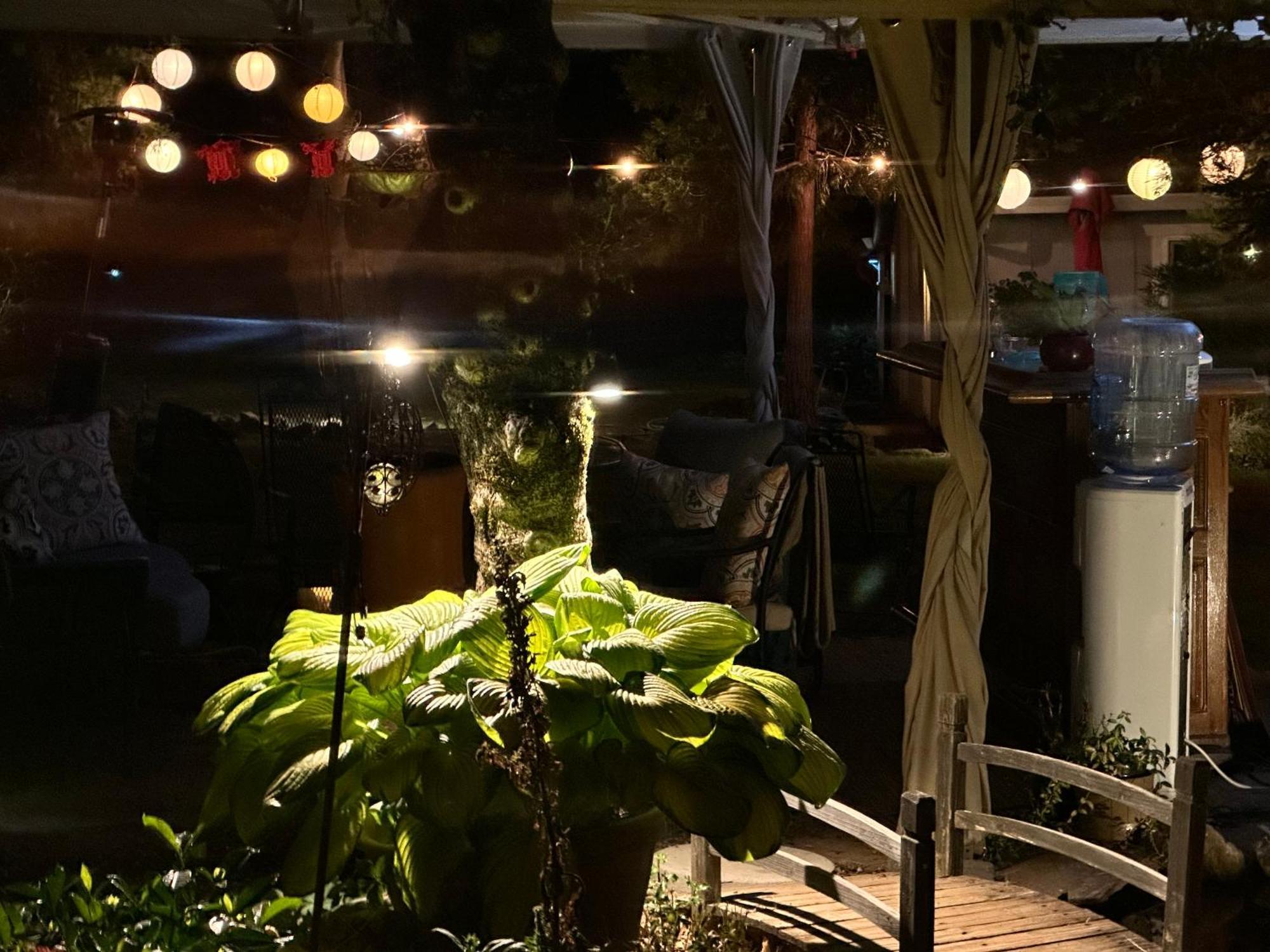 The Pines Inn And Cottages Grass Valley Εξωτερικό φωτογραφία